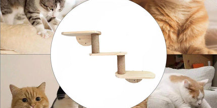 Solid Wood Wall Mounted Cat Climbing Tree Rack Platform Space Capsule Bed Shelf