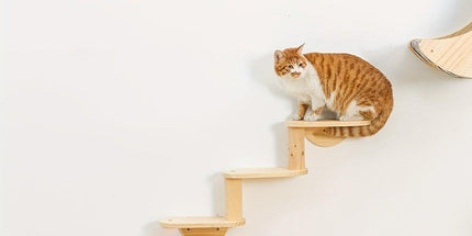 Solid Wood Wall Mounted Cat Climbing Tree Rack Platform Space Capsule Bed Shelf