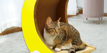 1-Piece Moon-Shaped Corrugated Cardboard Cat Scratcher Tyack eCommerce Solutions