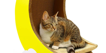 1-Piece Moon-Shaped Corrugated Cardboard Cat Scratcher Tyack eCommerce Solutions