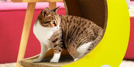 1-Piece Moon-Shaped Corrugated Cardboard Cat Scratcher Tyack eCommerce Solutions