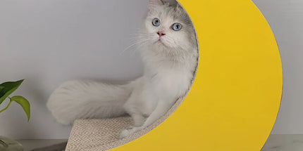 1-Piece Moon-Shaped Corrugated Cardboard Cat Scratcher Tyack eCommerce Solutions
