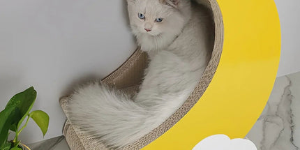 1-Piece Moon-Shaped Corrugated Cardboard Cat Scratcher Tyack eCommerce Solutions