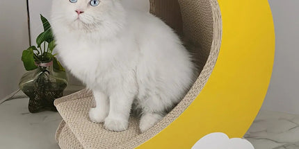1-Piece Moon-Shaped Corrugated Cardboard Cat Scratcher Tyack eCommerce Solutions