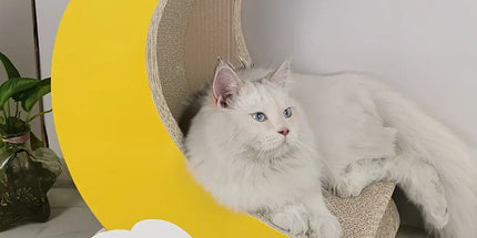 1-Piece Moon-Shaped Corrugated Cardboard Cat Scratcher Tyack eCommerce Solutions