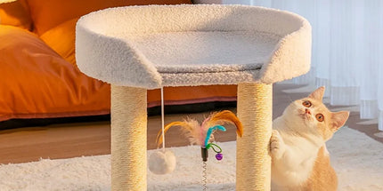 Rotating Cat Tree Cat Condo All in One Scratching Post Sturdy Non Shedding