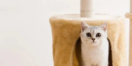 Cat Tree Scratching Post Gym House Condo Scratcher Furniture Tower - Grey