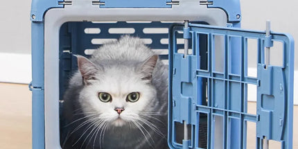 Foldable Pet Carrier Portable Dog Cat Travel Bag Cage House Kennel Case Blue