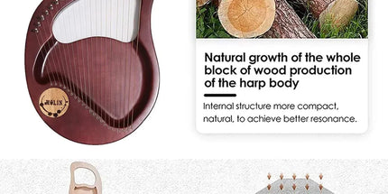 Solid Wood Veneer Laiya 24-String Harp Basic Model Beginner Music Instrument - Emerald Green