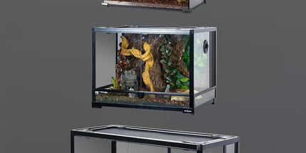 Simulated Vine Plants Reptile Habitat Terrarium Decor for Lizards and Tree Frogs