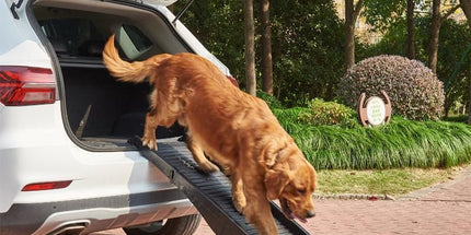 Dog Ramp Pet Car Suv Travel Stair Step Foldable Portable Lightweight Ladder