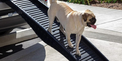 Dog Ramp Pet Car Suv Travel Stair Step Foldable Portable Lightweight Ladder