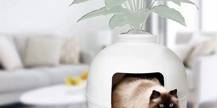 Plastic Pet Kennel Small Dog Cat Litter Box Teddy Villa Easy Clean Hair Guard - White