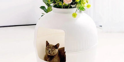Plastic Pet Kennel Small Dog Cat Litter Box Teddy Villa Easy Clean Hair Guard - White