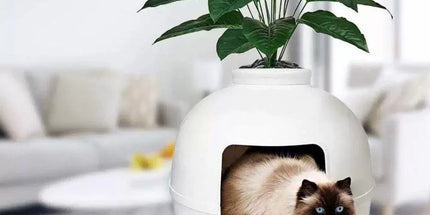 Plastic Pet Kennel Small Dog Cat Litter Box Teddy Villa Easy Clean Hair Guard - White