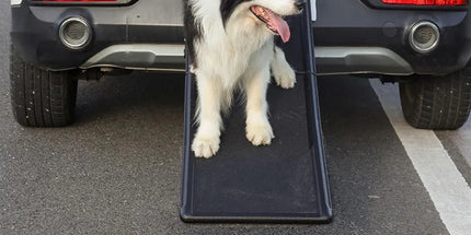 Pet Folding Stair Ladder Step Black Portable Dog Ramp Car Travel Stairs Steps