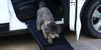 Pet Folding Stair Ladder Step Black Portable Dog Ramp Car Travel Stairs Steps