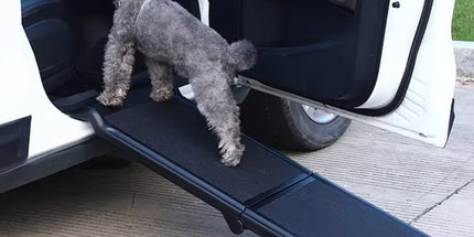 Pet Folding Stair Ladder Step Black Portable Dog Ramp Car Travel Stairs Steps