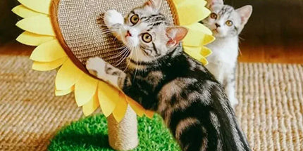 Sunflower Shaped Cat Scratcher Cat Tree Non-Shedding Durable Cardboard Material