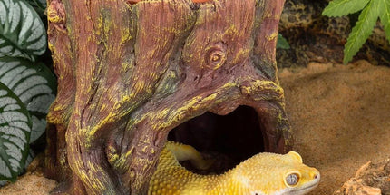 Tree Stump Reptile Cave Lizard Hide Terrarium Cave Home Decor Moisture Keeping