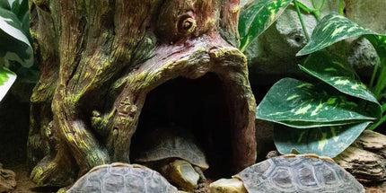 Tree Stump Reptile Cave Lizard Hide Terrarium Cave Home Decor Moisture Keeping