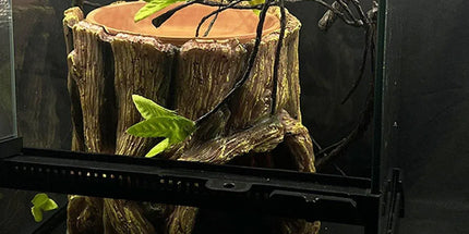 Tree Stump Reptile Cave Lizard Hide Terrarium Cave Home Decor Moisture Keeping