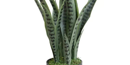 Artificial Snake Plant Sansevieria UV Resistant 60cm