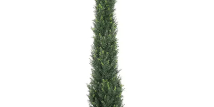 Artificial Cypress Pine Tree UV Resistant 1.8M