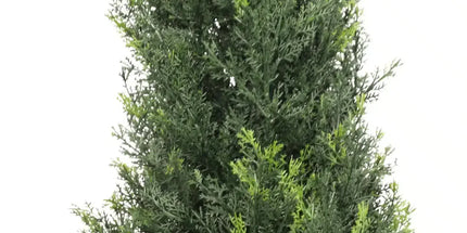 Artificial Cypress Pine Tree UV Resistant 1.8M