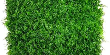 Mediterranean Fern Vertical Garden / Green Wall UV Resistant 1m x 1m