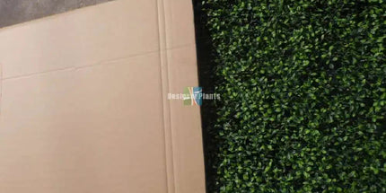 Deluxe Portable Buxus Hedge UV Resistant 100cm Long x 50cm High