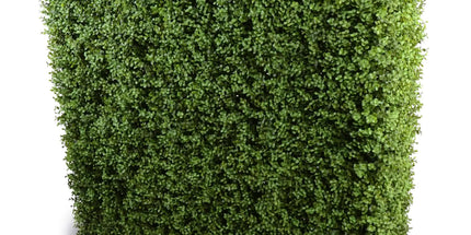 Deluxe Portable Buxus Hedge UV Resistant 100cm Long x 100cm High
