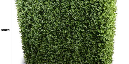 Deluxe Portable Buxus Hedge UV Resistant 100cm Long x 100cm High