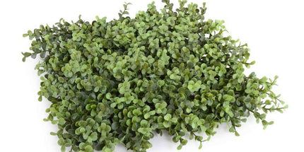 Deluxe Portable Buxus Hedge UV Resistant 150cm Long x 150cm High