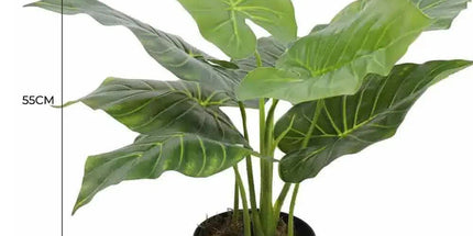 Artificial Potted Taro Plant / Elephant Ear 55cm