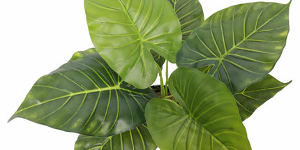 Artificial Potted Taro Plant / Elephant Ear 55cm