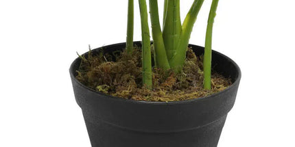 Artificial Potted Taro Plant / Elephant Ear 55cm