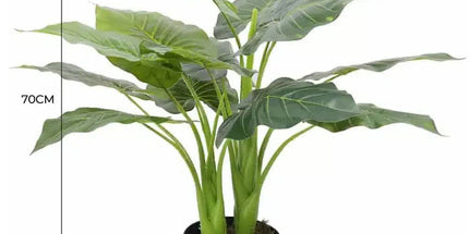 Artificial Potted Taro Plant / Elephant Ear 70cm