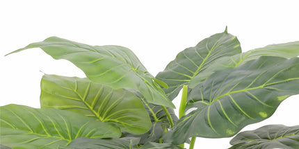 Artificial Potted Taro Plant / Elephant Ear 70cm
