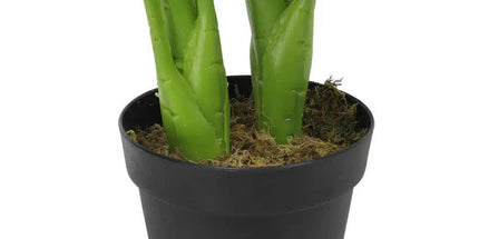 Artificial Potted Taro Plant / Elephant Ear 70cm