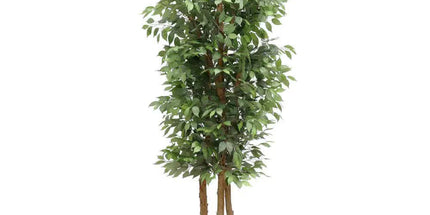 Large Custom Made Ficus Tree 250cm