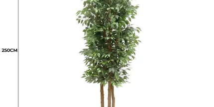 Large Custom Made Ficus Tree 250cm