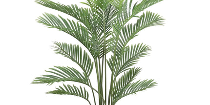 Premium Areca Palm Tree and Render Pot Bundle