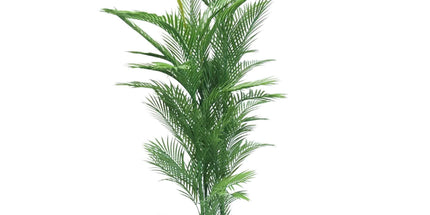 Real Touch Artificial Phoenix Palm Tree UV Resistant 180cm