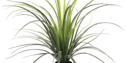Potted Artificial Long Grass (Yucca Grass) 75cm UV Resistant