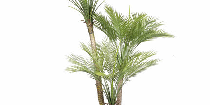 Artificial Parlour Palm Tree 180cm Multi Trunk UV Resistant