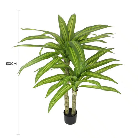 Artificial Multi Head Dracaena Tree