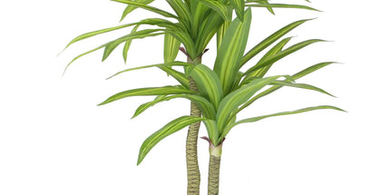 Artificial Multi Head Dracaena Tree with Mixed Green Leaves (Real Touch) 130cm
