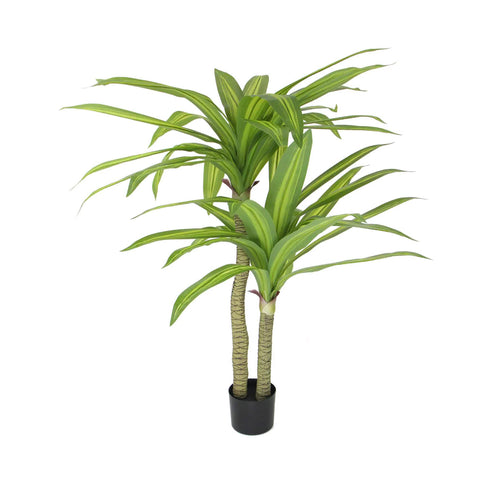Artificial Multi Head Dracaena Tree