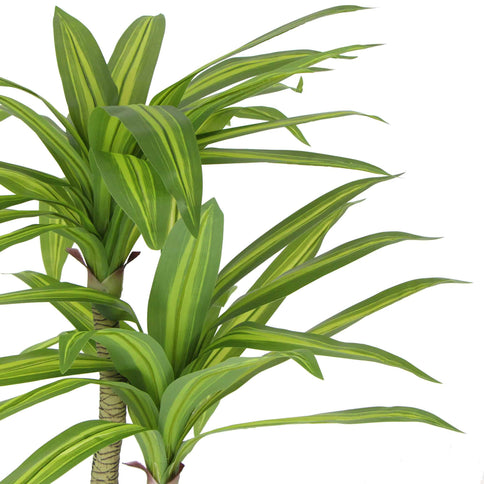 Artificial Multi Head Dracaena Tree